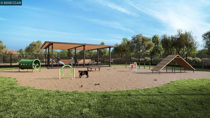 Backyard, Exterior, Playground