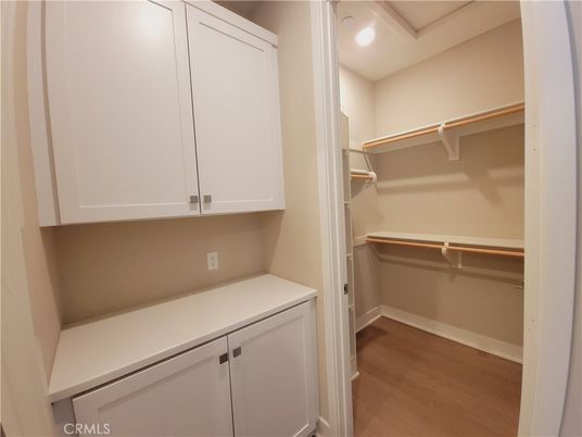 Interior, Recessed Lighting, Walk-in Closets, Wood Texture Flooring