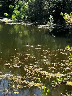 Exterior, Lake