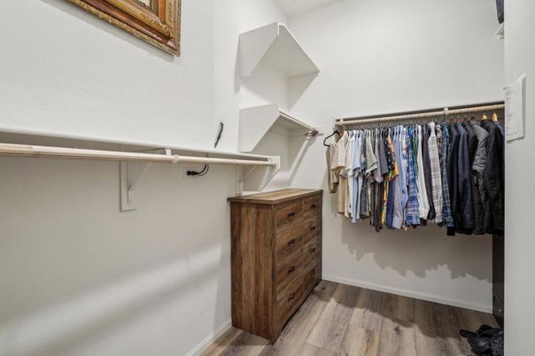 Interior, Walk-in Closets, Wood Texture Flooring
