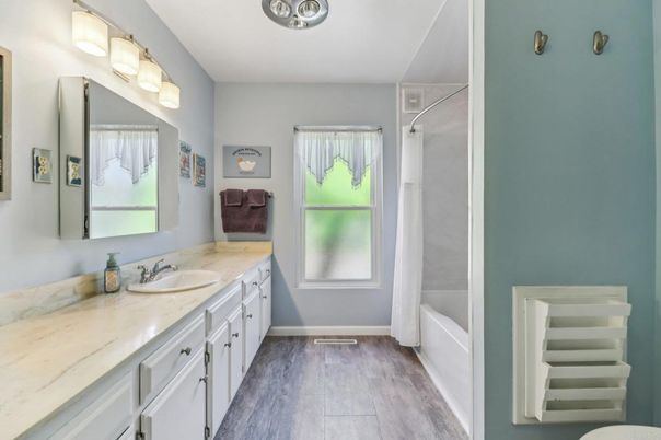 Bathroom, Dual Sink Vanities, Interior, Wood Texture Flooring