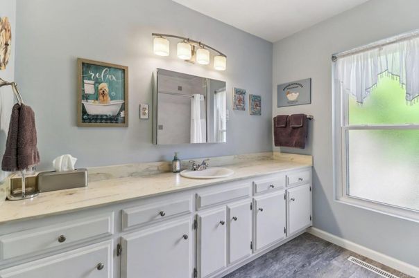 Bathroom, Dual Sink Vanities, Interior, Wood Texture Flooring