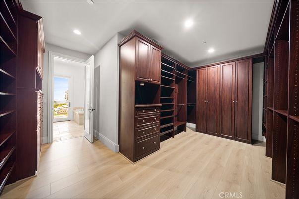 Interior, Recessed Lighting, Walk-in Closets, Wood Texture Flooring