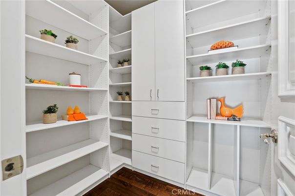 Interior, Walk-in Closets, Wood Texture Flooring