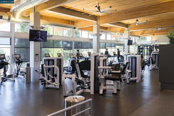 Fitness Equipment, Gym, Interior, Wooden Beams, Wooden Ceilings