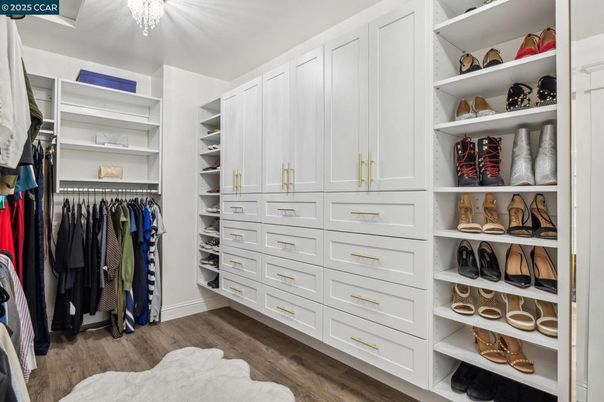Interior, Walk-in Closets, Wood Texture Flooring
