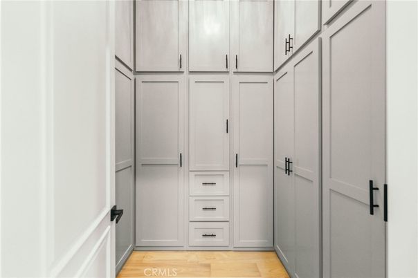 Interior, Walk-in Closets, Wood Texture Flooring