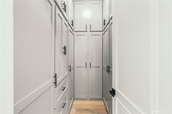 Interior, Walk-in Closets, Wood Texture Flooring