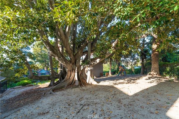 Backyard, Exterior, Playground