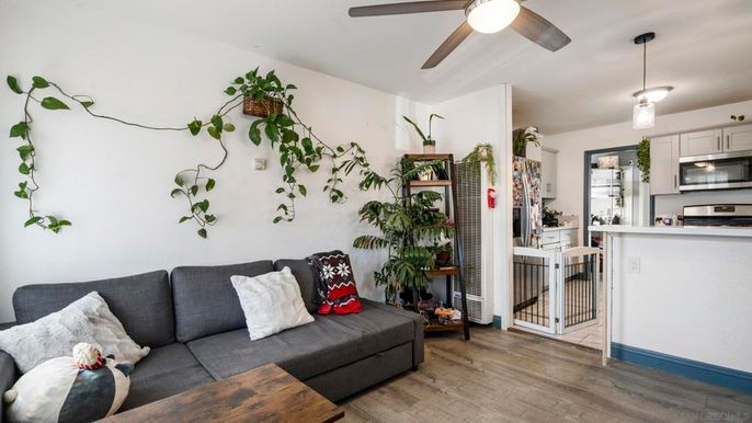Interior, Kitchen, Living room, Pendant Lights, Stainless Steel Appliances, Wood Texture Flooring