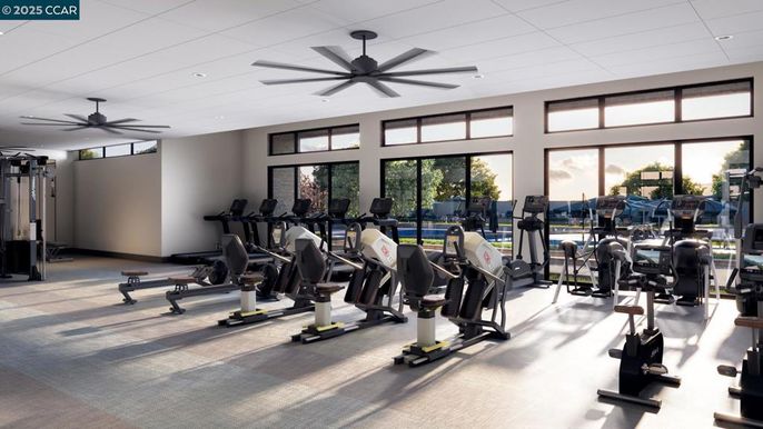 Fitness Equipment, Gym, Interior, Recessed Lighting