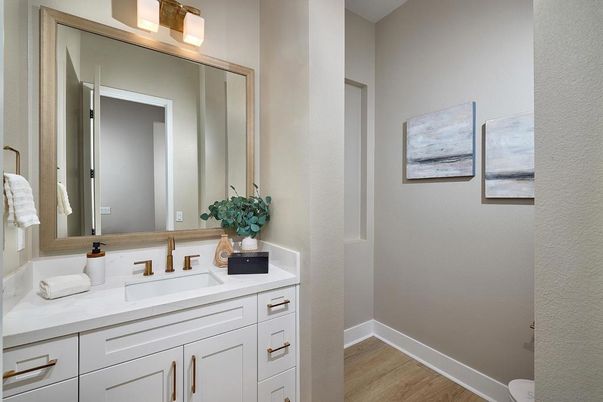 Bathroom, Interior, Wood Texture Flooring