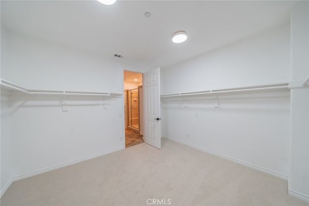 Interior, Recessed Lighting, Walk-in Closets