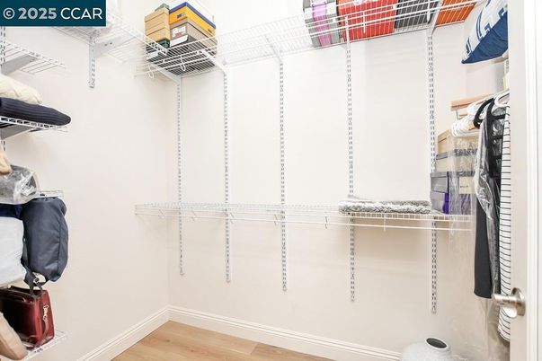 Interior, Walk-in Closets, Wood Texture Flooring