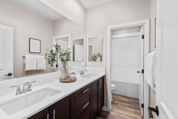 Bathroom, Dual Sink Vanities, Interior, Wood Texture Flooring