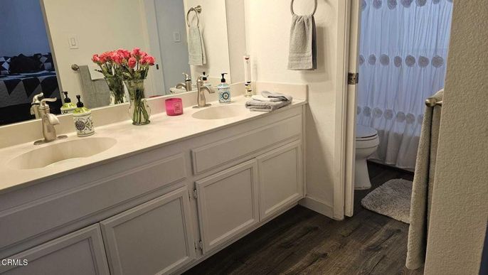 Bathroom, Dual Sink Vanities, Interior, Wood Texture Flooring