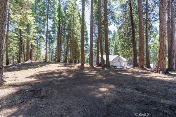 Backyard, Detached Garage, Exterior