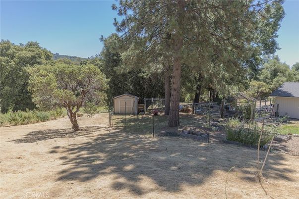 Backyard, Detached Garage, Exterior