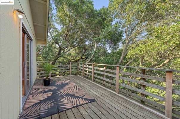 Exterior, Wood Texture Flooring