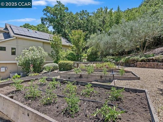 Backyard, Exterior, Solar Panels