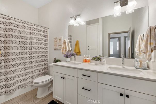 Bathroom, Dual Sink Vanities, Interior, Wood Texture Flooring