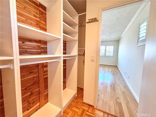 Interior, Walk-in Closets, Wood Texture Flooring