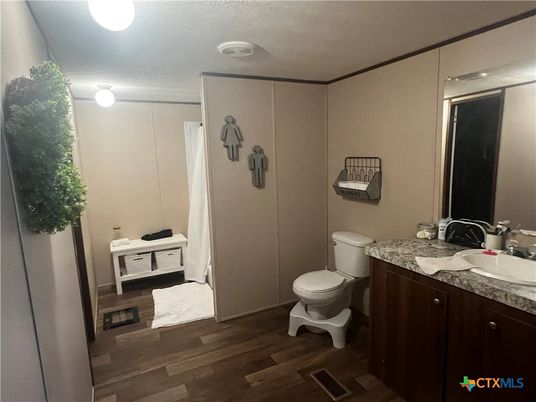 Bathroom, Interior, Wood Texture Flooring
