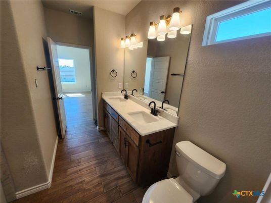 Bathroom, Dual Sink Vanities, Interior, Wood Texture Flooring