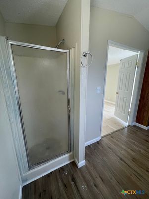 Bathroom, Glass Shower, Interior, Wood Texture Flooring