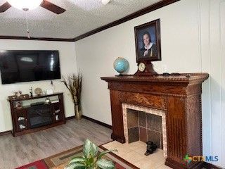 Fireplace, Interior, Wood Texture Flooring