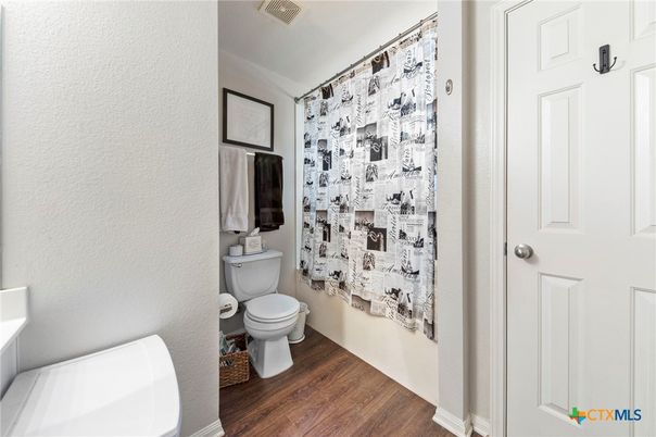 Bathroom, Interior, Wood Texture Flooring