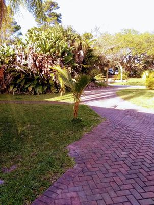 Exterior, Lake