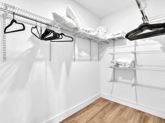 Interior, Walk-in Closets, Wood Texture Flooring