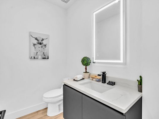 Bathroom, Interior, Wood Texture Flooring