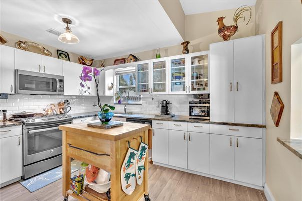 Interior, Kitchen, Stainless Steel Appliances, Wood Texture Flooring