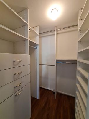 Interior, Walk-in Closets, Wood Texture Flooring