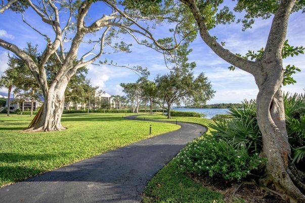 Backyard, Exterior, Water
