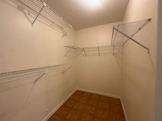 Interior, Walk-in Closets, Wood Texture Flooring