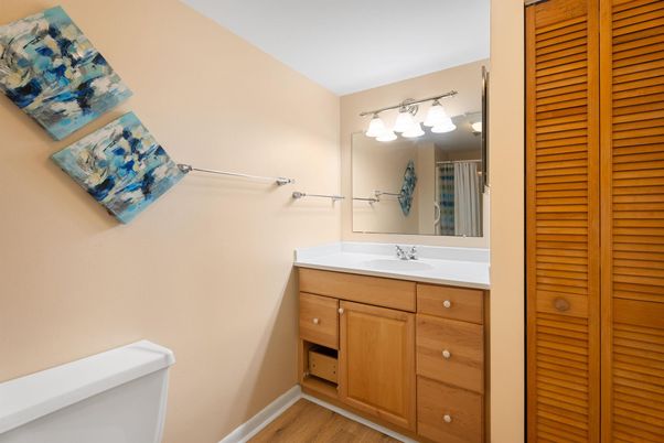Bathroom, Interior, Wood Texture Flooring