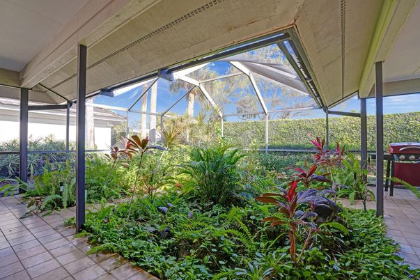 Glass Ceilings, Interior, Sun Room