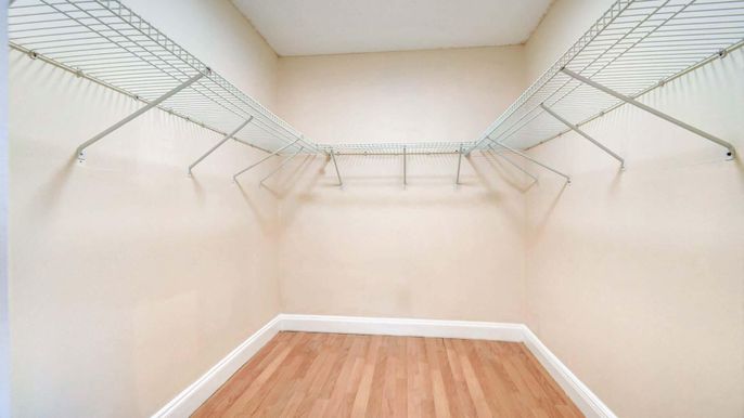 Interior, Walk-in Closets, Wood Texture Flooring