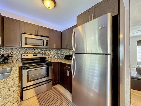 Interior, Kitchen, Stainless Steel Appliances, Wood Texture Flooring