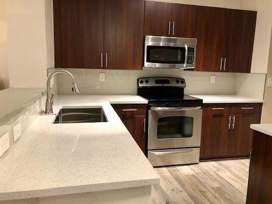 Interior, Kitchen, Stainless Steel Appliances, Wood Texture Flooring