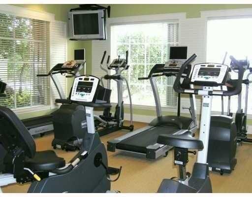 Fitness Equipment, Gym, Interior, Wood Texture Flooring