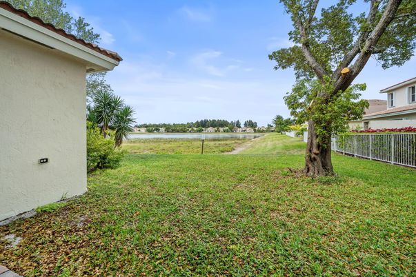 Backyard, Exterior, Water