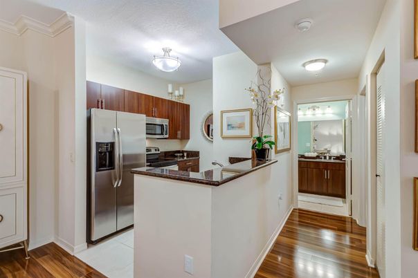 Interior, Kitchen, Stainless Steel Appliances, Wood Texture Flooring