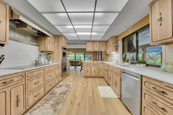 Interior, Kitchen, Stainless Steel Appliances, Wood Texture Flooring