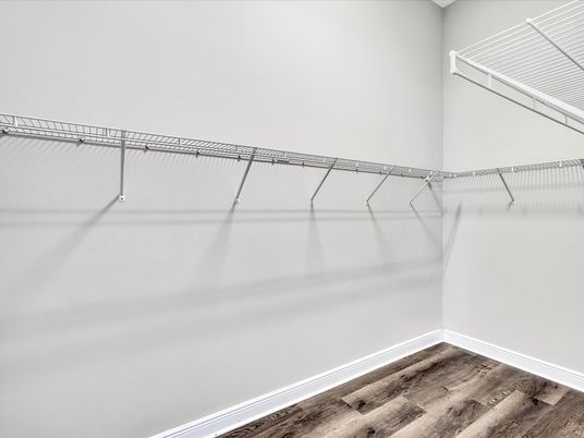Interior, Walk-in Closets, Wood Texture Flooring