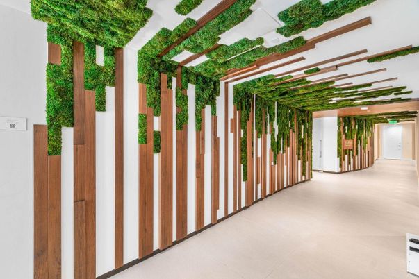 Interior, Wooden Beams