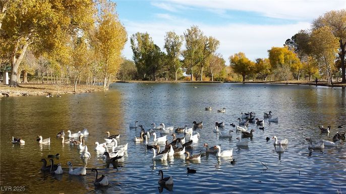 Exterior, Lake